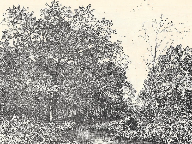 1841-Annaly - I boschi di Ychoux